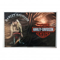 Обложка на паспорт Harley Davidson. PAS123