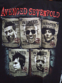 Футболка Avenged Sevenfold. FTH-46