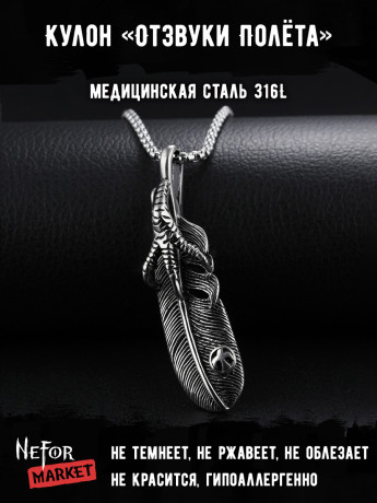 Кулон Отзвуки Полёта TS141s