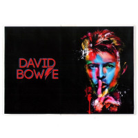 Обложка на паспорт David Bowie. PAS166