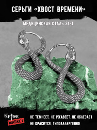 Серьги из нержавеющей стали Хвост Времени (пара) HPN768