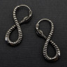 Серьги из нержавеющей стали Хвост Времени (пара) HPN768