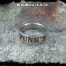 Кольцо из нержавеющей стали Punk's not dead 6 мм KSS664