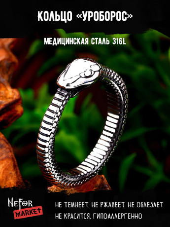 Кольцо из нержавеющей стали Уроборос KSS470