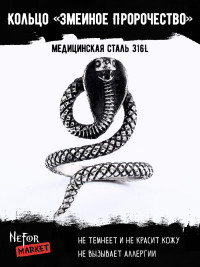 Кольцо из нержавеющей стали Змеиное Пророчество KSS362