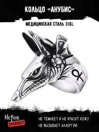 Кольцо из нержавеющей стали Анубис KSS475
