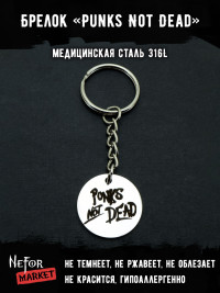 Брелок из медицинской стали Punks Not Dead NFB005