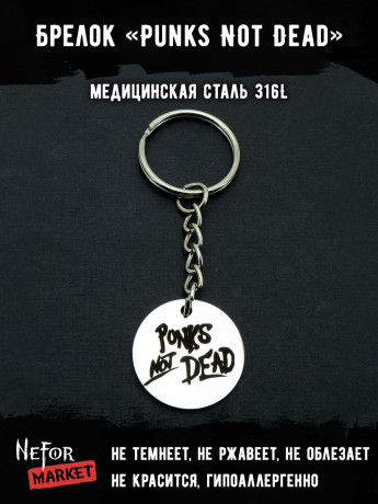 Брелок из медицинской стали Punks Not Dead NFB005