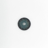 Линзы серые "New York Gray" A145