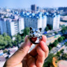 Кольцо из нержавеющей стали Волк Одина KSS465