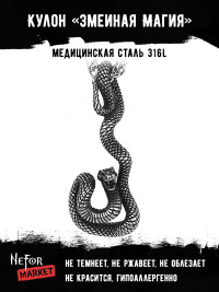 Кулон Змеиная Магия TS488