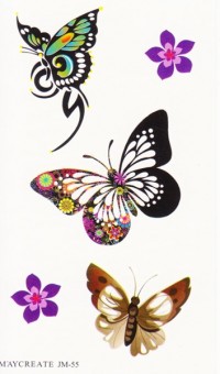 Временная татуировка Бабочки 34564