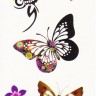Временная татуировка Бабочки 34564