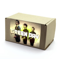 Лутбокс Green Day box010