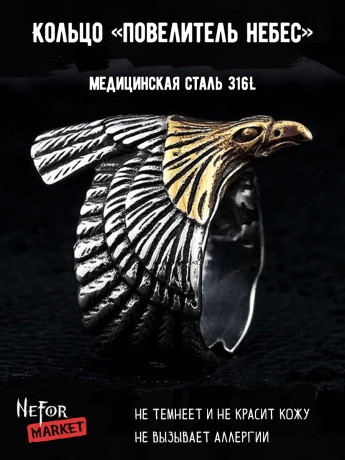 Кольцо из нержавеющей стали Повелитель Небес KSS200g
