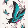 Временная татуировка Бабочки 34565