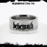 Кольцо из нержавеющей стали Behemoth 8 мм KSS711