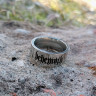 Кольцо из нержавеющей стали Behemoth 8 мм KSS711
