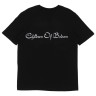 Футболка Children Of Bodom ФГ649