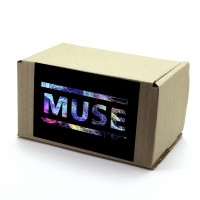 Лутбокс Muse box016