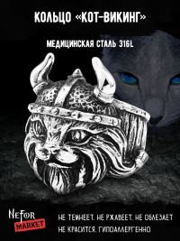 Кольцо из нержавеющей стали Кот-викинг KSS380