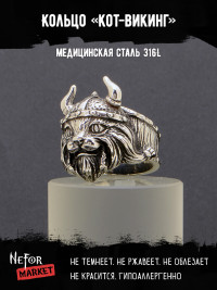 Кольцо из нержавеющей стали Кот-викинг KSS380