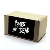 Лутбокс Punk's Not Dead box019