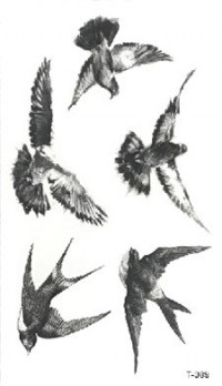 Временная татуировка Птицы 34261