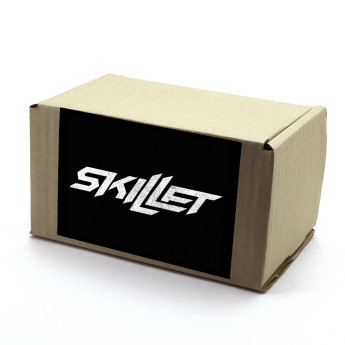 Лутбокс Skillet box024