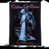 Нашивка большая Children of Bodom НБД050