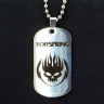 Жетон из медицинской стали The Offspring NFJ041