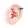 Серьга из нержавеющей стали Дракон HPN763