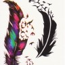 Временная татуировка Перо и птицы 34562