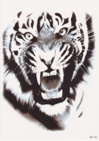 Временная татуировка Рычащий тигр 34229