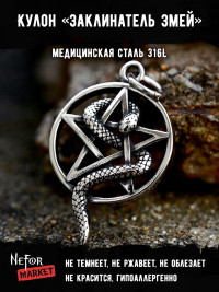Кулон Заклинатель Змей TS503
