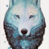 Временная татуировка Волк. 34071