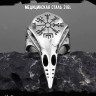 Кольцо из нержавеющей стали Ворон Вегвизир KSS305