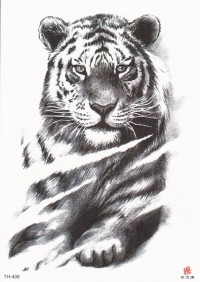 Временная татуировка  Тигр 34365