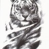 Временная татуировка  Тигр 34365