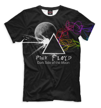 Футболка Pink Floyd PFL-745165-fut