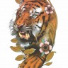 Временная татуировка Тигр 34466