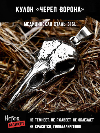 Кулон Череп Ворона TS507