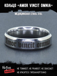 Кольцо из нержавеющей стали Amor vincit omnia 6 мм KSS590