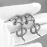 Серьга из нержавеющей стали с подвеской Ядовитая Тень (1 шт) HPN790