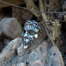 Кольцо из нержавеющей стали Маска Slipknot KSS653
