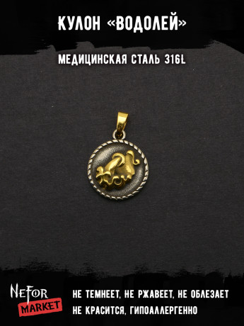 Кулон Знак Зодиака Водолей TS542