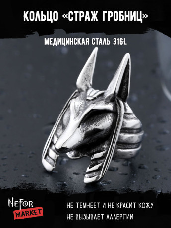 Кольцо из нержавеющей стали Страж Гробниц KSS152