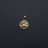 Кулон Знак Зодиака Козерог TS548