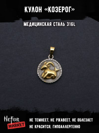 Кулон Знак Зодиака Козерог TS548