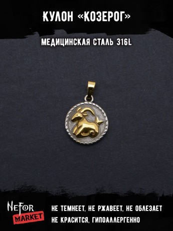 Кулон Знак Зодиака Козерог TS548